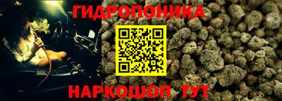дмт Волжский