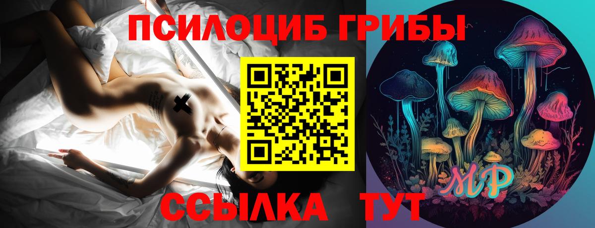 Гусь-Хрустальный  Псилоцибиновые грибы GOLDEN TEACHER  Галлюциногенные грибы мицелий  Вход с VPN 